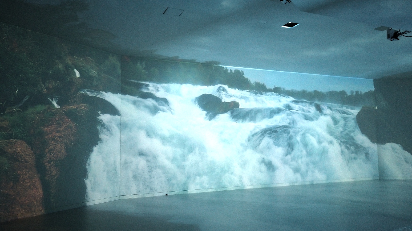 Rheinfalls1.0852 ergebnis